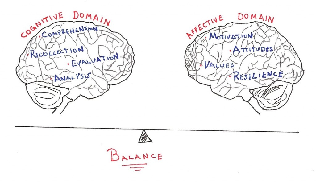 Cognitive vs Affective Domains